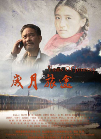 国产精品久久久久精品综合